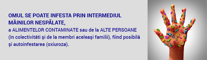 Cum să ne protejăm copiii de bolile parazitare - Synevo