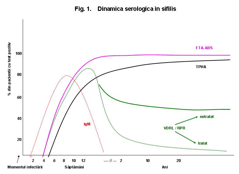 Serologie sifilis (VDRL/RPR si Anticorpi-Treponema pallidum) - Synevo