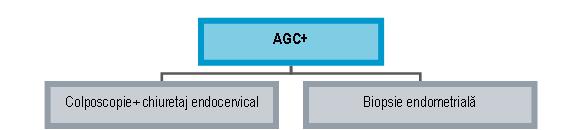 Citologie cervico-vaginală Babeș–Papanicolaou în mediu lichid - Synevo