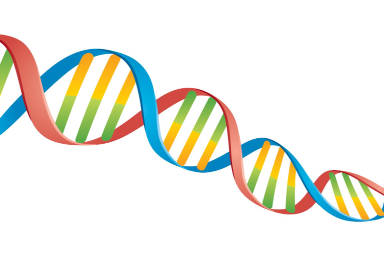 cariotip molecular, cariotip constitutional, synevo, articole genetica